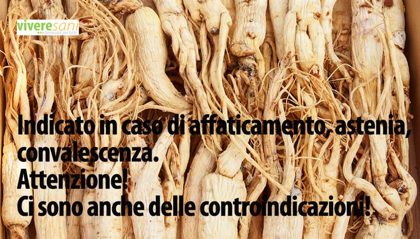 Il ginseng è una pianta originaria della Cina 